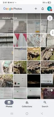 Benson Lawn Maintenance Logo