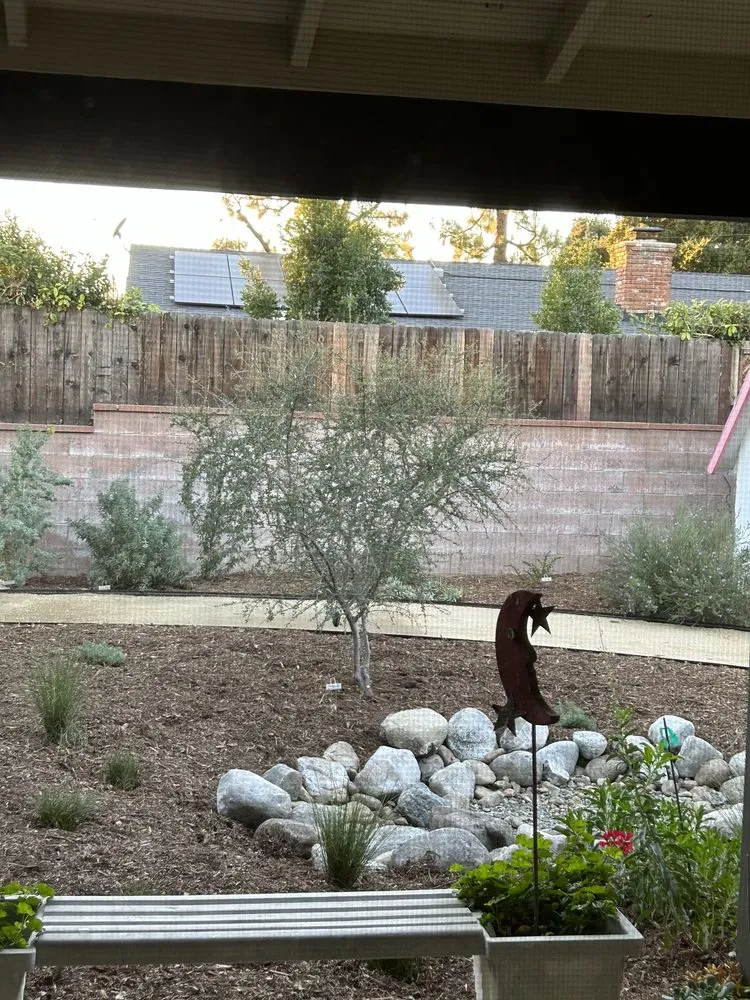 Top-rated lawn mowing service in Upland, CA - Benston Landscape