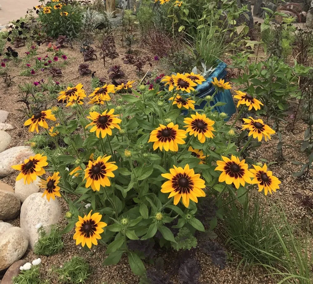 Local yard maintenance experts serving Brea, CA - Bent Lee Tree & Landscape