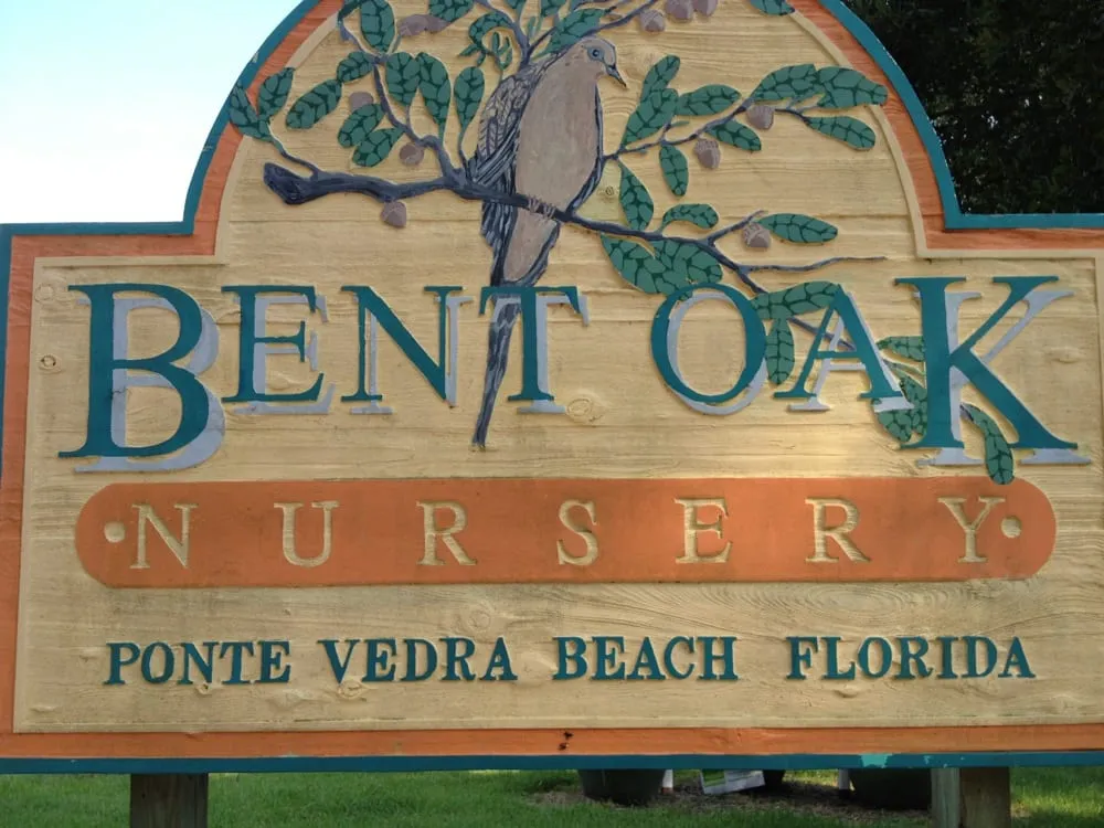 Affordable outdoor landscaping near you across Ponte Vedra Beach, FL - Bent Oak Nursery