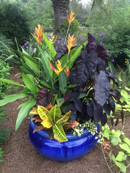 Reliable residential landscaping with custom design across Ponte Vedra Beach, FL - Bent Oak Nursery