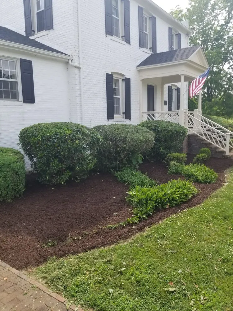 Local yard cleanup service for residential properties across Princess Anne, MD - Bent Pine Lawn & Landscape
