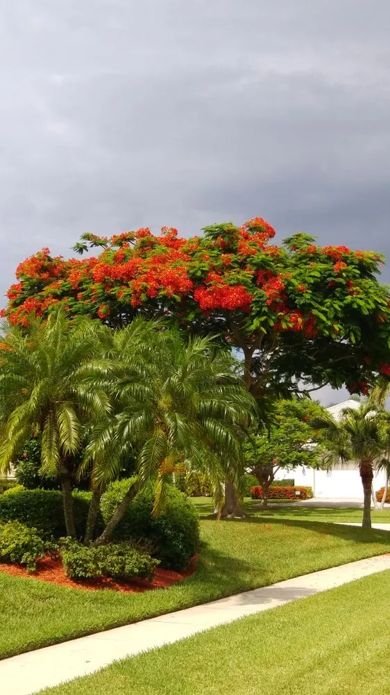Custom landscaping services in PT CHARLOTTE, FL - Bentley Landscape Services