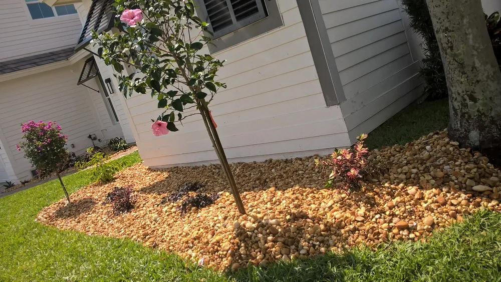 Affordable landscaping services for outdoor upgrades in PT CHARLOTTE, FL by Bentley Landscape Services