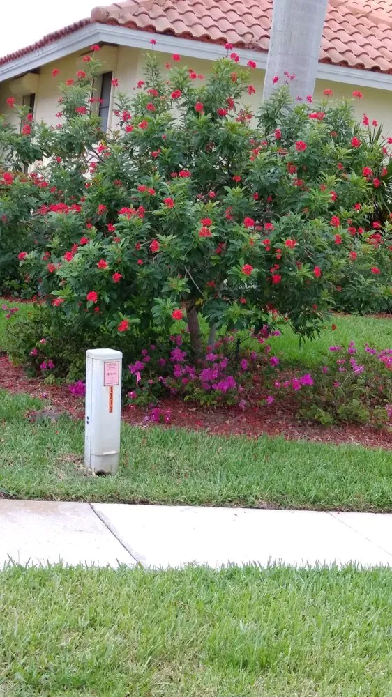 Expert landscaping services for homes across PT CHARLOTTE, FL - Bentley Landscape Services