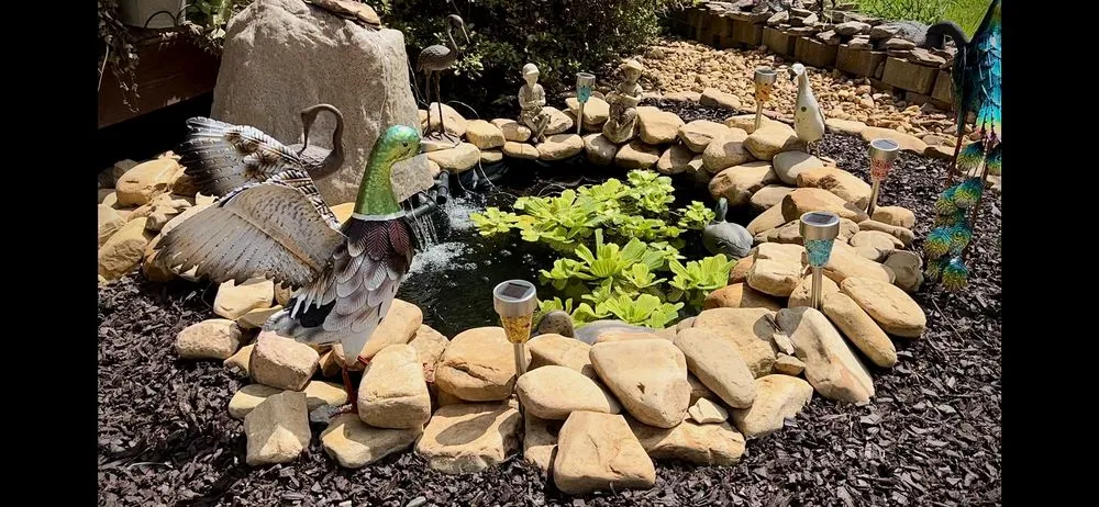 Professional lawn care service near you in Woodstock, GA by Bentleys Affordable Ponds