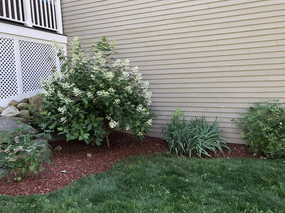 Affordable lawn care service for homes across Nashua, NH - Bentley's Greenscapes