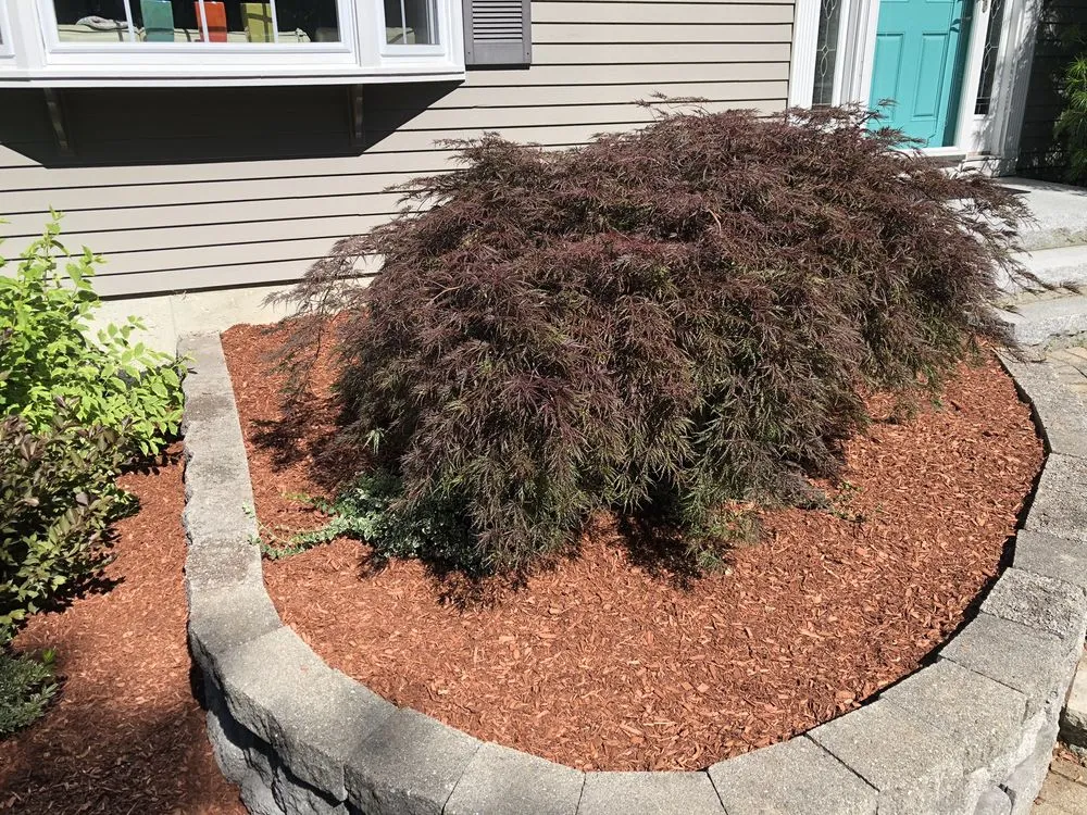 Custom landscaping services in Nashua, NH by Bentley's Greenscapes