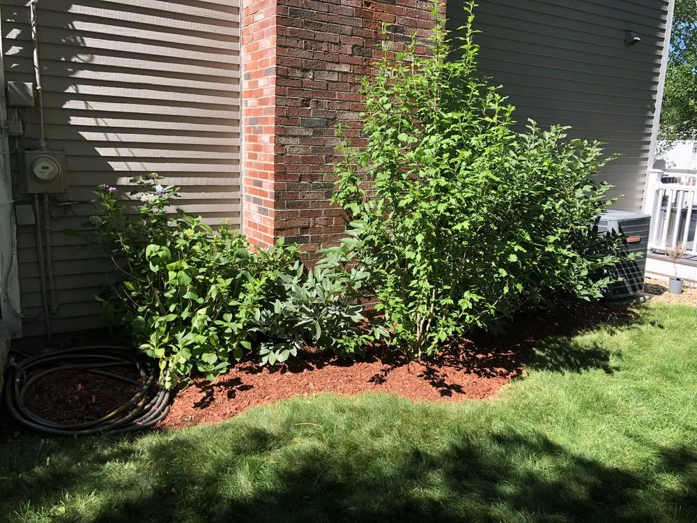 Trusted lawn care service in Nashua, NH - Bentley's Greenscapes