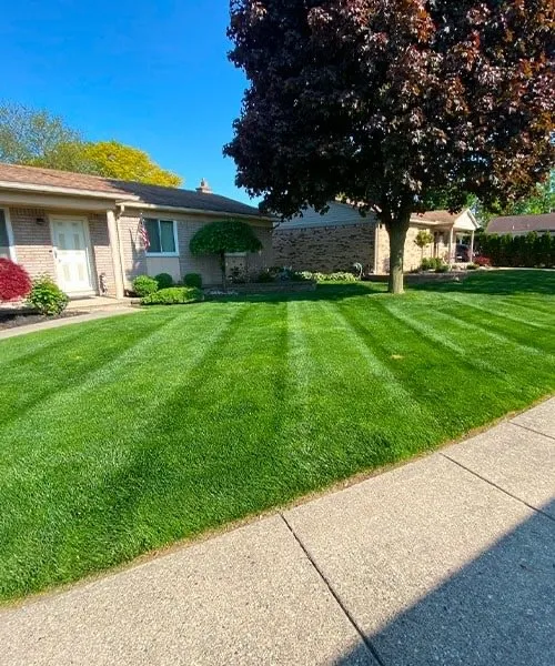 Affordable lawn care service in Ventura, CA by Bentleys Lawn and Garden Care