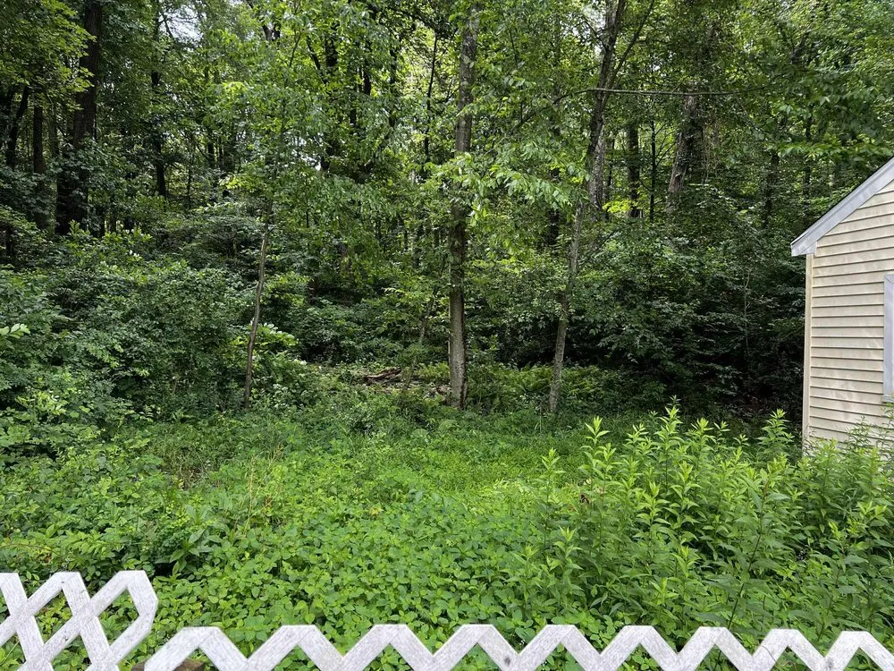 Expert lawn mowing service in New Milford, CT by Bentleys Weed Whacking and Poison Ivy Removal