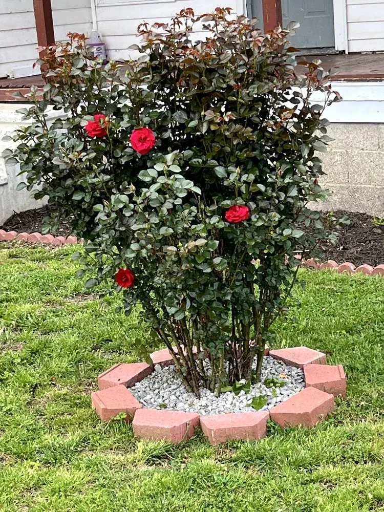 Top-rated outdoor landscaping in Benton, IL - Benton Lawn Pros