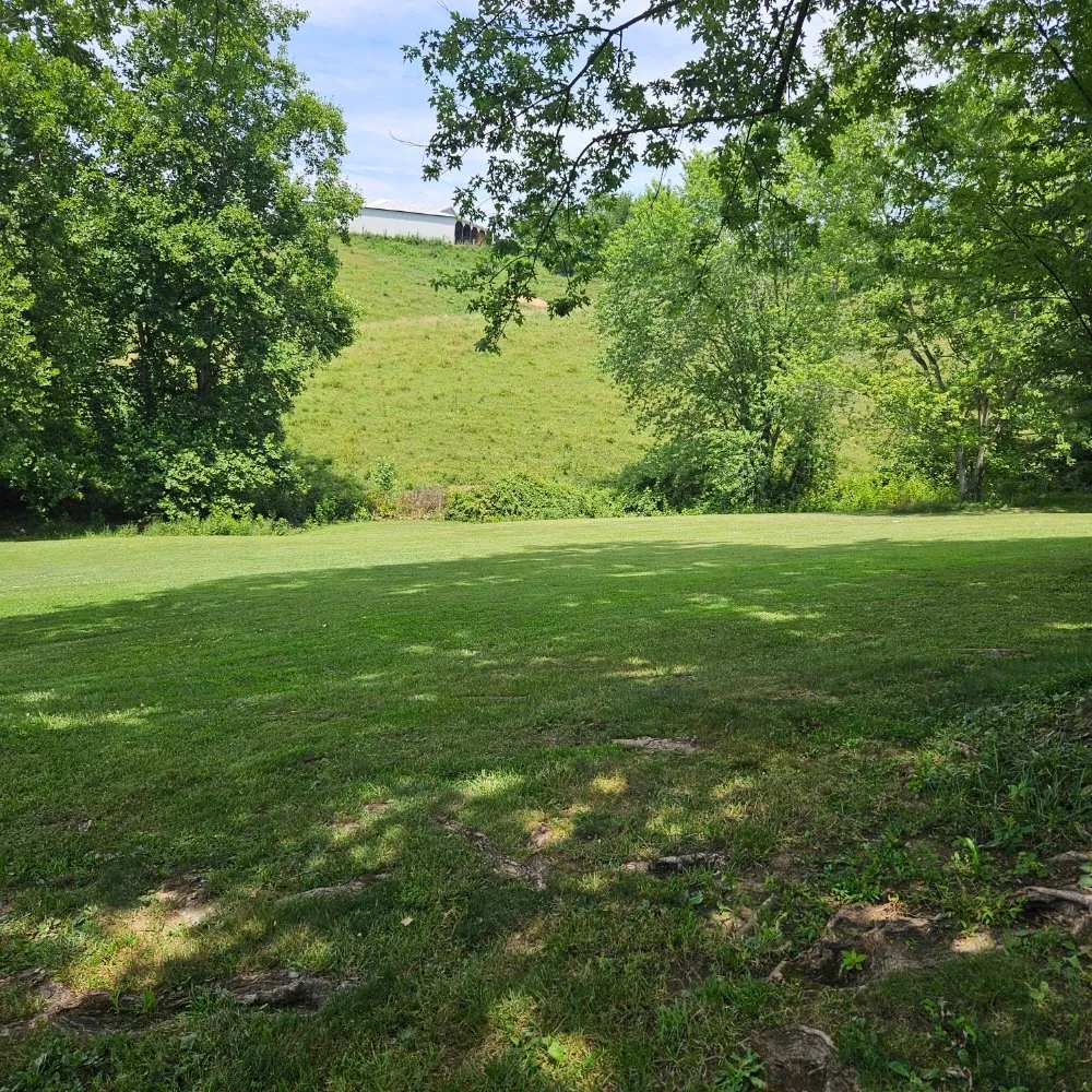 Local yard maintenance in West Liberty, KY by Benton Lawncare And Outdoor Services