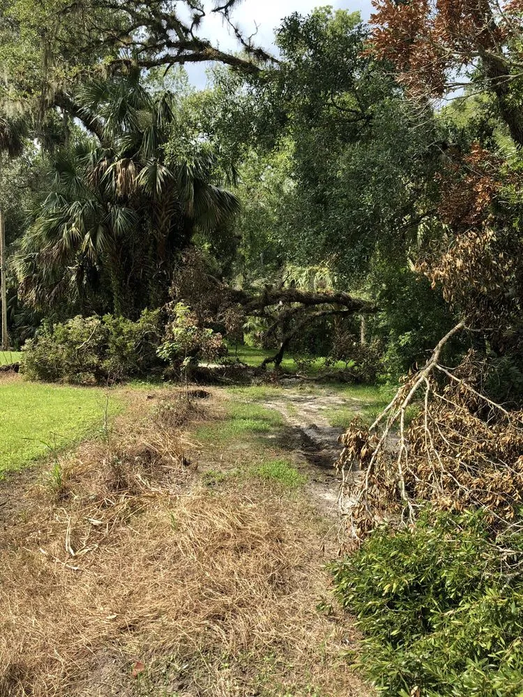 Affordable yard cleanup service in Orlando, FL - Benton Property Maintenance