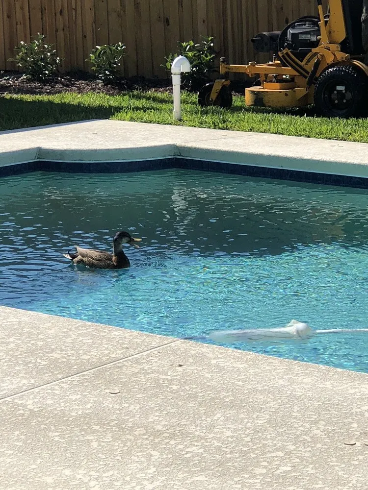 Top-rated landscape design near you in Orlando, FL by Benton Property Maintenance