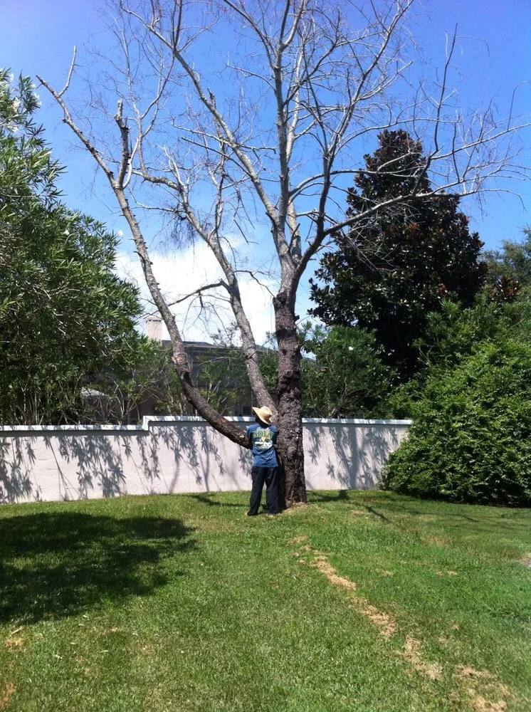 Local landscape design for year-round maintenance across Orlando, FL - Benton Property Maintenance