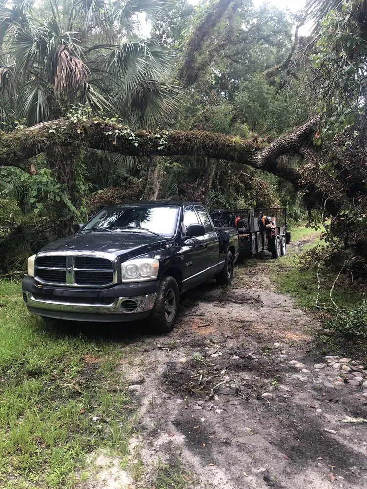 Local landscape installation in Orlando, FL by Benton Property Maintenance