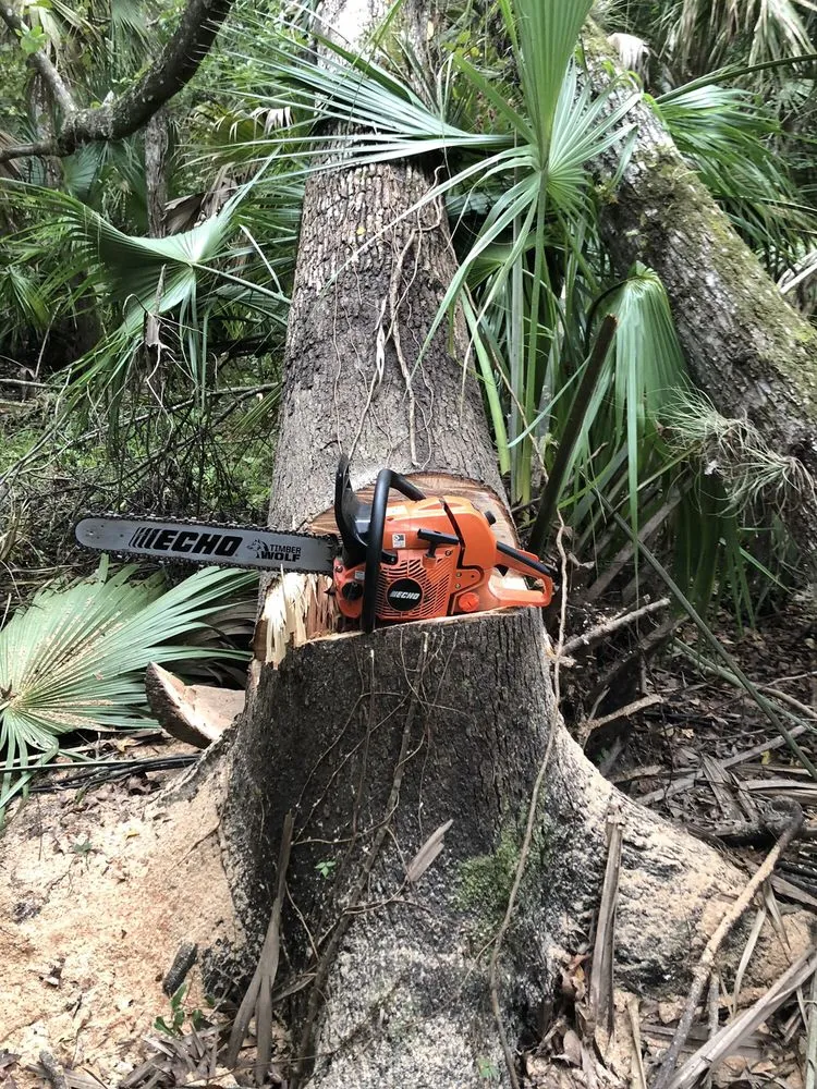 Local lawn mowing service experts serving Orlando, FL - Benton Property Maintenance