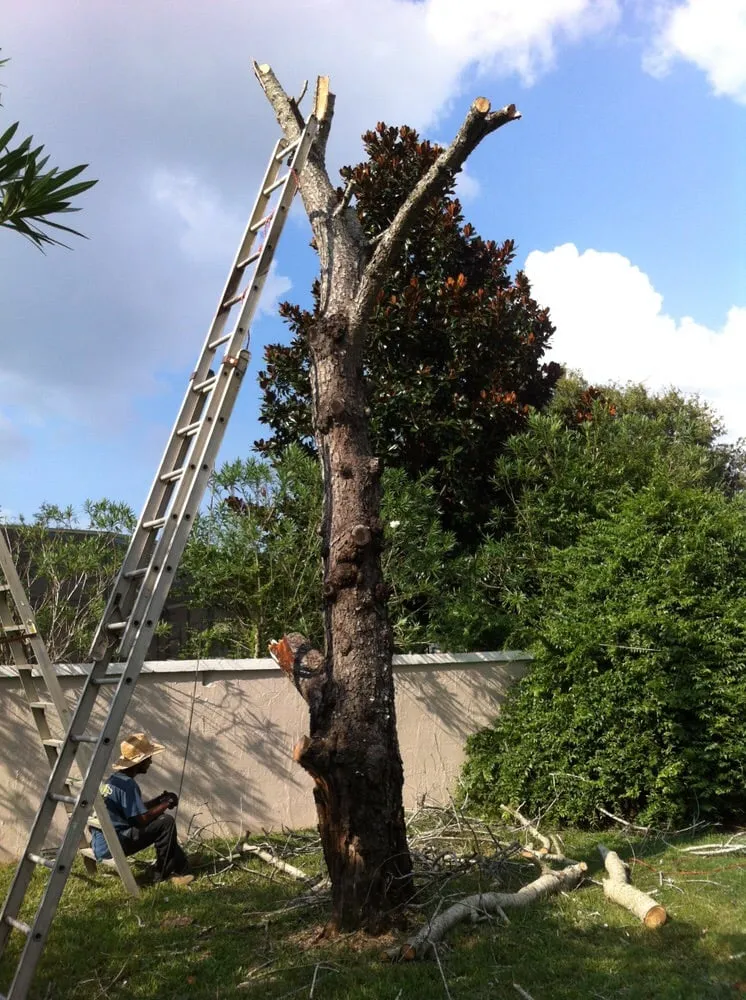 Trusted residential landscaping in Orlando, FL by Benton Property Maintenance