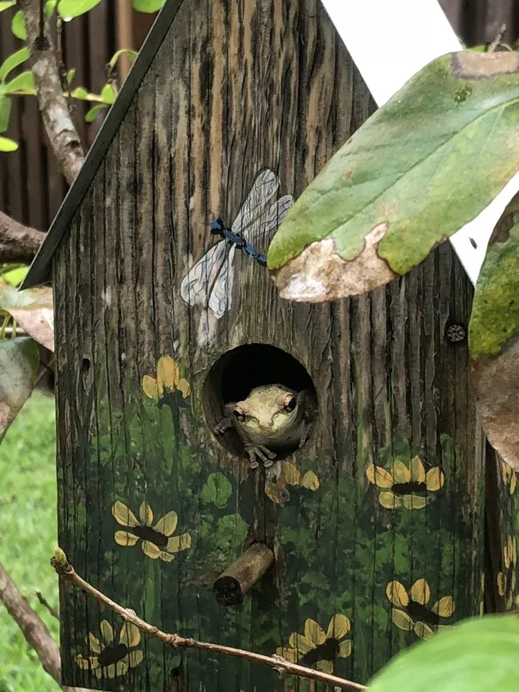 Affordable garden landscaping in Orlando, FL by Benton Property Maintenance