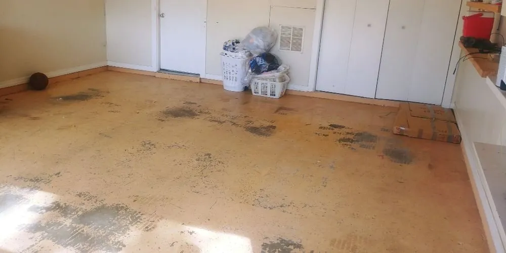 Expert landscaping services for year-round maintenance in Bossier City, LA by Benton Property Preservation