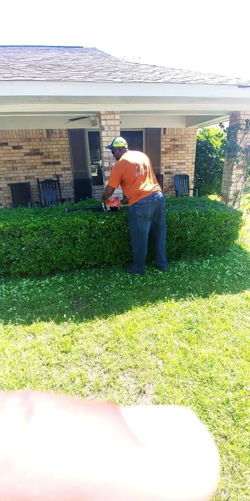 Local landscaping services for homes across Bossier City, LA - Benton Property Preservation