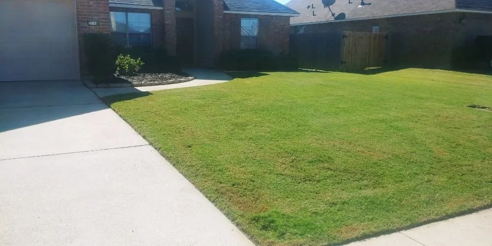 Local outdoor landscaping experts serving Bossier City, LA - Benton Property Preservation