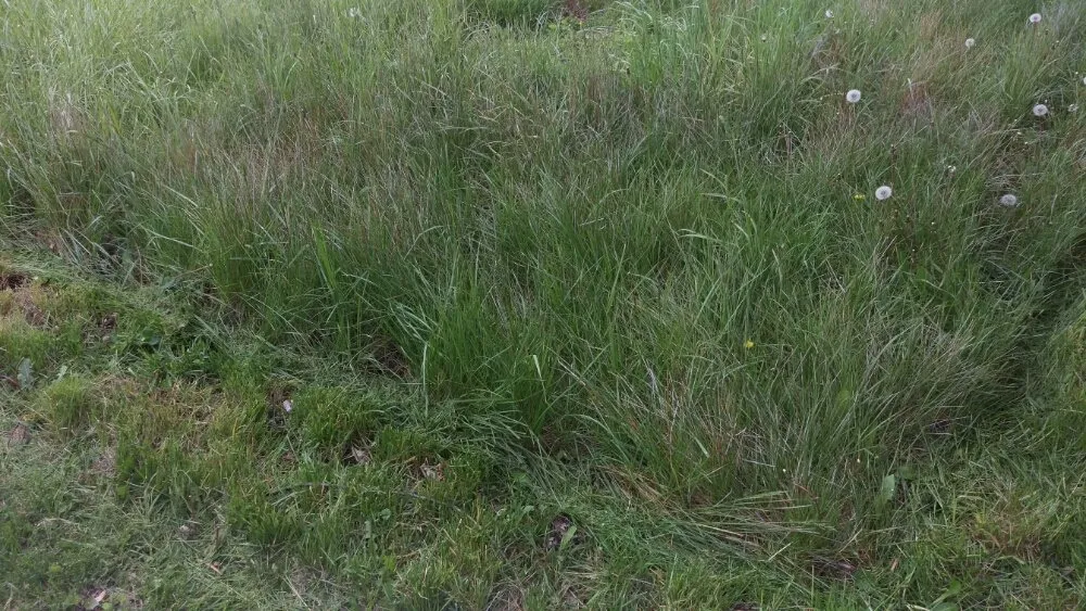 Professional residential landscaping in Hanover, PA by Benton's Lawn And Landscape