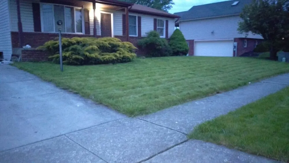 Top-rated yard cleanup service experts serving Hanover, PA - Benton's Lawn And Landscape