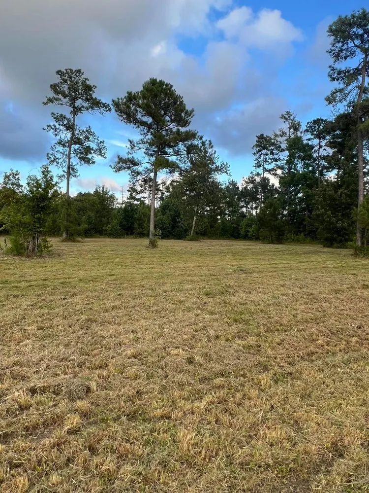 Professional landscape design in Whiteville, NC by Benton's Lawn Service