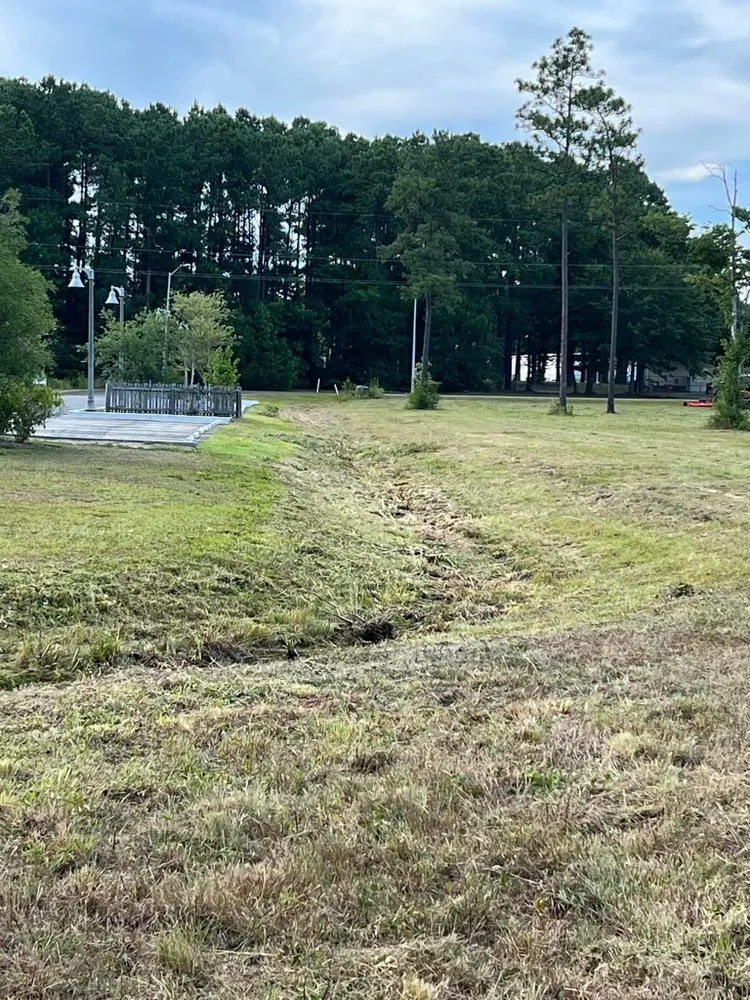 Local landscape design for beautiful yards across Whiteville, NC - Benton's Lawn Service