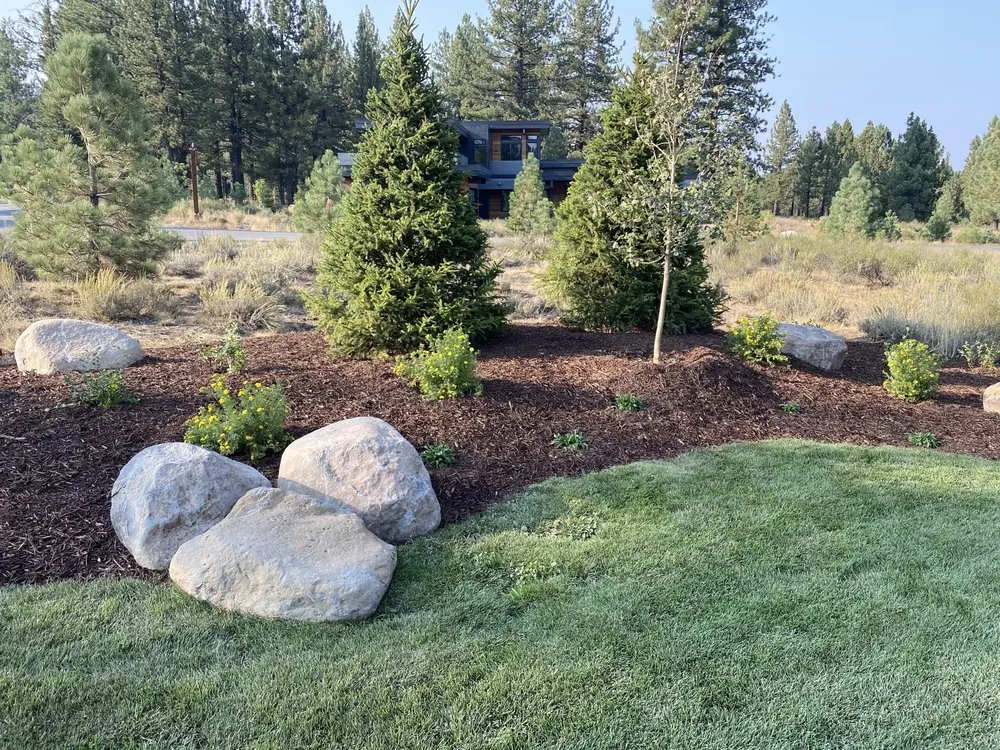 Local yard cleanup service for homes across Truckee, CA - Benty's Landscaping