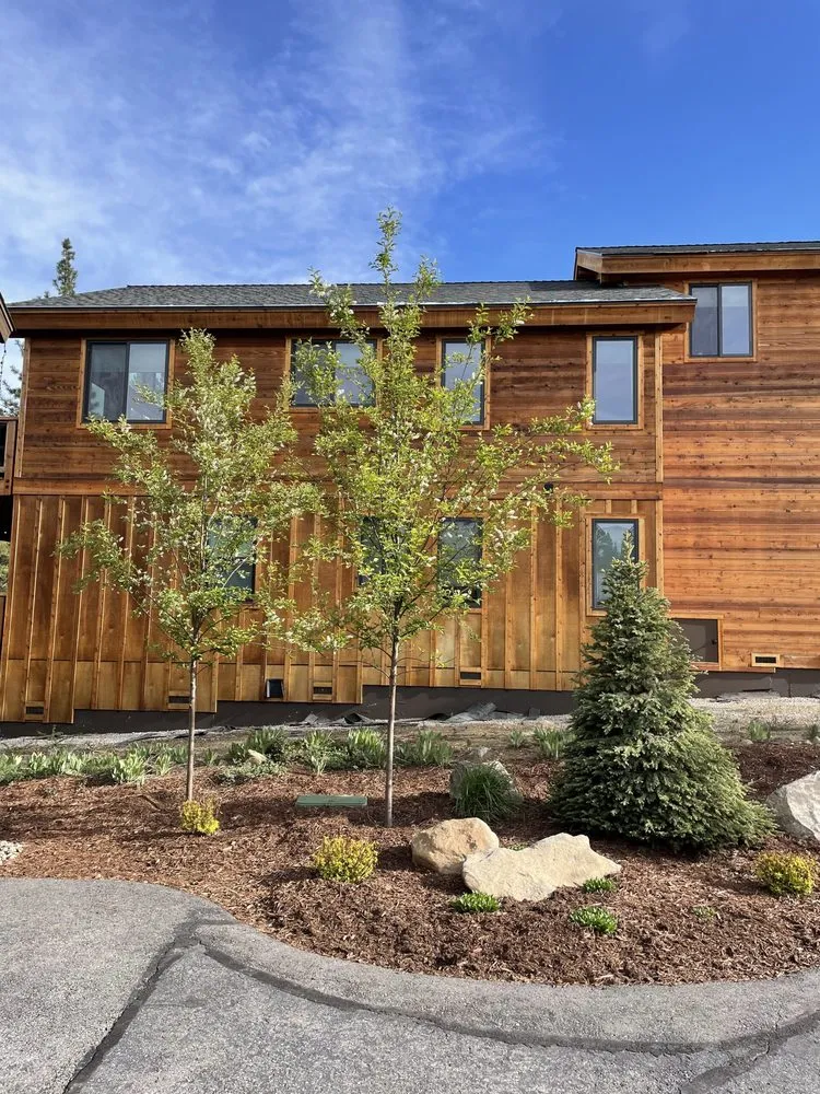 Professional yard cleanup service experts serving Truckee, CA - Benty's Landscaping