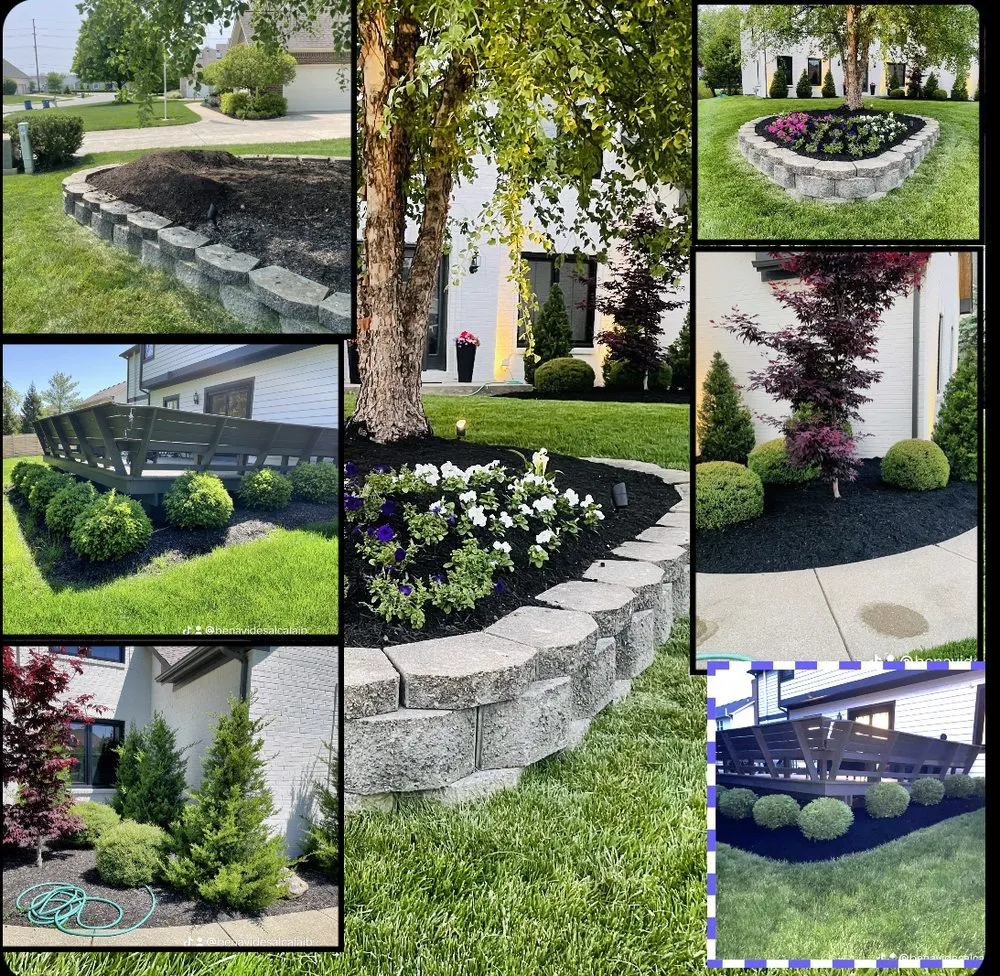Trusted yard maintenance in Indianapolis, IN by Benvides Landscaping & Tree Services