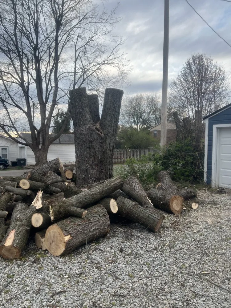 Custom yard maintenance for year-round maintenance across Indianapolis, IN - Benvides Landscaping & Tree Services