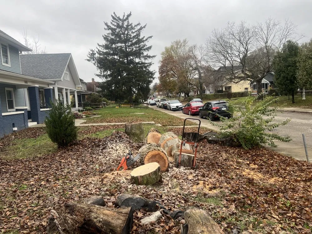 Trusted garden landscaping in Indianapolis, IN by Benvides Landscaping & Tree Services