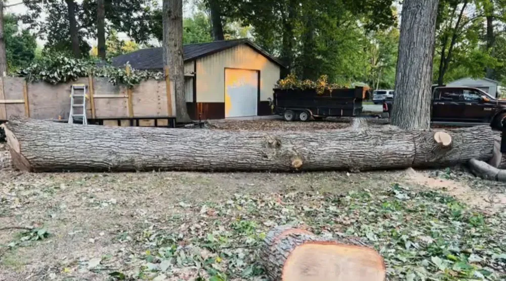 Top-rated outdoor landscaping in Indianapolis, IN - Benvides Landscaping & Tree Services