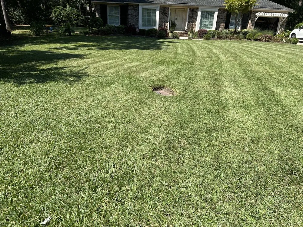 Professional landscaping services in Ladson, SC by BenZys Landscaping Services