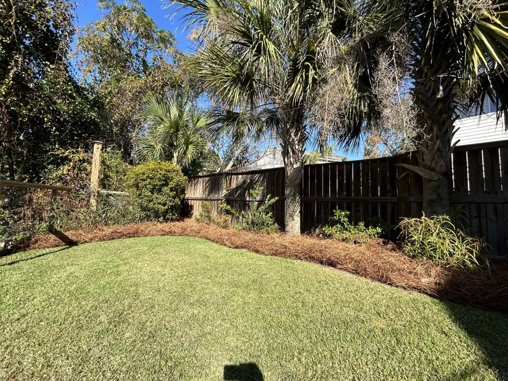 Top-rated landscaping services near you in Ladson, SC by BenZys Landscaping Services