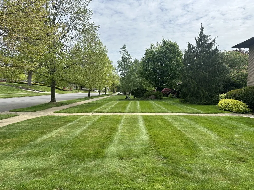 Professional landscaping services in New Castle, PA - Berardis Landscaping & Lawncare