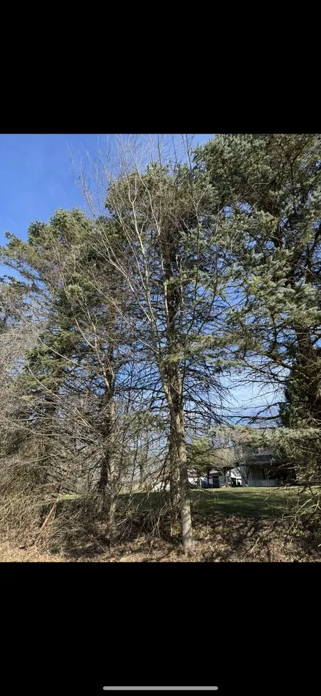 Local garden landscaping in New Castle, PA - Berardis Landscaping & Lawncare