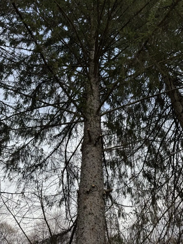 Affordable landscape design in New Castle, PA - Berardis Landscaping & Lawncare