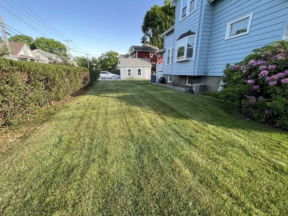 Reliable yard cleanup service for outdoor upgrades across Chelsea, MA - Berber Industries Landscaping