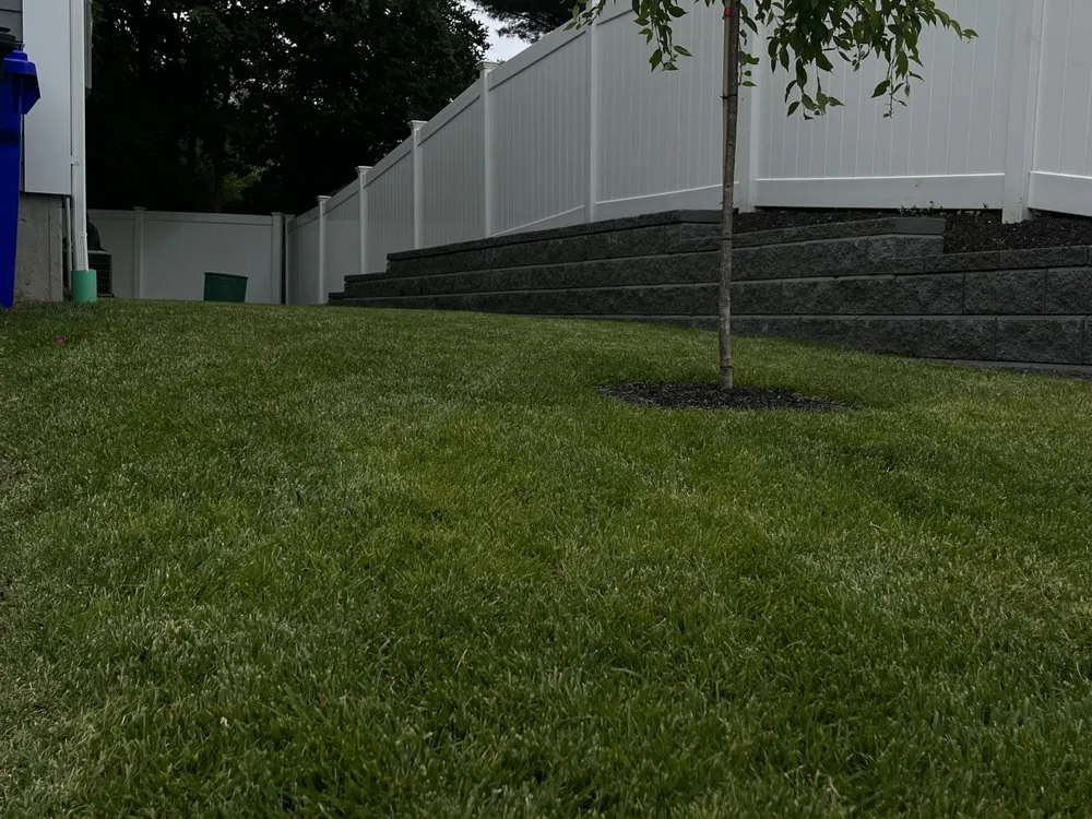 Professional yard cleanup service in Chelsea, MA by Berber Industries Landscaping