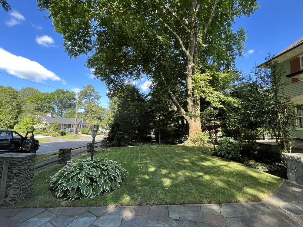 Top-rated lawn care service experts serving Chelsea, MA - Berber Industries Landscaping