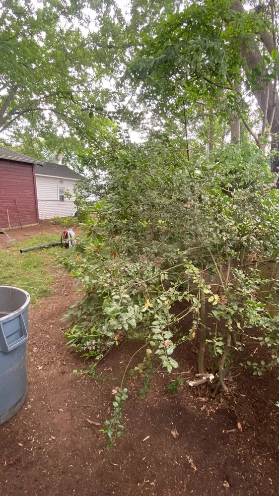 Affordable lawn care service for residential properties in Rocky Hill, CT by Berdecia Landscaping