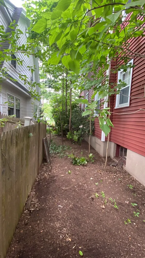 Local lawn mowing service in Rocky Hill, CT - Berdecia Landscaping