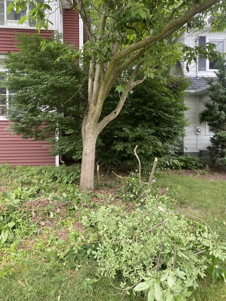 Reliable landscape installation in Rocky Hill, CT by Berdecia Landscaping