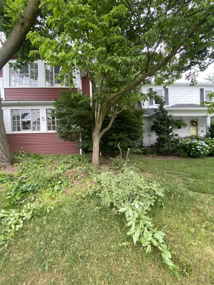 Affordable yard cleanup service experts serving Rocky Hill, CT - Berdecia Landscaping