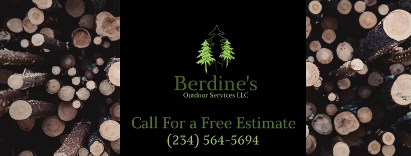 Local landscape design for beautiful yards in Salem, OH by Berdine's Outdoor Services